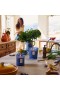 Voluspa – Mediterranean Lemon Large Jar Candle