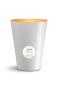 Cereria Molla – Tobacco & Amber 5 Wick Candle