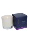 Trapp – Jasmine Gardenia #60 Candle