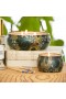 Voluspa – French Cade & Lavender Mini Tin Candle