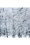 Archipelago – Winter Frost Diffuser