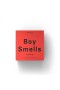 Boy Smells – Passion Pit Candle