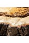 Archipelago – Lindenwood Boxed Candle