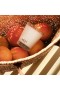 Nest – Grapefruit Candle