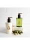 Thymes – Frasier Fir Hand Wash