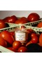 Votivo – Fresh Tomato Leaf Discovery Candle