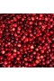 Archipelago – Cranberry St. Germain Diffuser