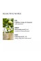 Molton Brown – Orange & Bergamot 3 Wick Candle