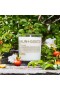 Malin & Goetz – Otto Candle