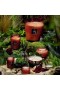 Voluspa – Forbidden Fig 3 Wick Tin Candle