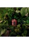 Voluspa – Foraged Wildberry Small Jar Candle