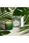 LAFCO – Jungle Bloom Classic Candle