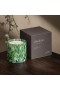 LAFCO – Star Jasmine Absolute Candle