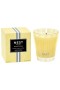 Nest – Sunlit Yuzu & Neroli Candle