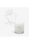 Maison Louis Marie – No. 14 Icila Candle