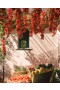 Flamingo Estate – Roma Heirloom Tomato XL Candle