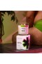 Regular Ass Candles – Love In This Shrub (Citrus + Lavender) Candle