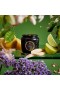 Voluspa – Jardin De Verveine Petite Jar Candle