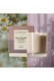 Votivo – St. Germain Lavender Signature 10oz Candle