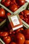 Votivo – Fresh Tomato Leaf Signature 10oz Candle