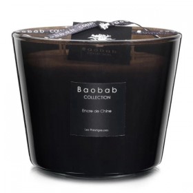 Baobab Collection – Encre De Chine Max10 Candle