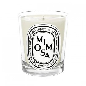 Diptyque – Mimosa Small Candle