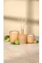 LAFCO – Vela exclusiva Paloma Melon (Veranda)