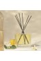 Nest – Scaiptheoir Yuzu & Neroli faoi Ghrian