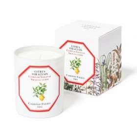 Carriere Freres – Siracusa Lemon (Citrus Syracusis) Coinneal