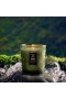 Voluspa – Candela Classica al Muschio del Tempio