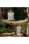 Voluspa – Candela in barattolo grande al profumo di ginepro francese e lavanda