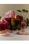 Flamingo Estate – Jasmin Damask Rose Lys
