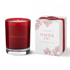 Niven Morgan – Vinterfiken-julelys