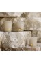 Trudon – Ernesto (Skóra i Tytoń) Świeca Alabaster