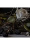 Adlan – Into The Briar Patch Petite Candle