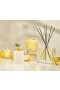 Nest – Sunlit Yuzu & Neroli Votive Candle