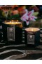 Antica Farmacista – Liquid Velvet Candle