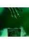 Voluspa – Bewitching Banyan Forest Boxed Candle (Wicked Collection)