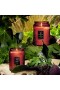 Voluspa – Forbidden Fig Small Jar Candle