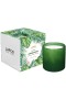 LAFCO – Jungle Bloom Classic Candle