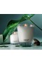 Nest – Forest Rain Votive Candle