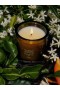 Flamingo Estate – Jasmine Damask Rose Candle