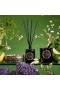 Voluspa – Jardin De Verveine 디퓨저