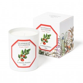 Carriere Freres – Tomato (Lycopersicon Esculentum) Candle