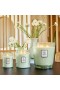 Voluspa – Franskt Cade & Lavendel 5-vekars eldljus