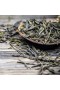 Verdadera Gracia – Vela de Té Verde y Cítricos