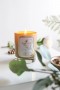 Compañía de Velas Harlem – Vela Frederick