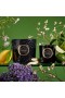 Voluspa – Vela en tarro grande Jardin De Verveine