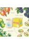 شمعة أسولين - ميامي بيتش