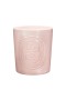 Diptyque – Svíčka Roses s 5 knoty XL 1500g